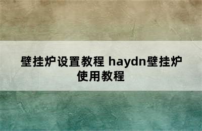 壁挂炉设置教程 haydn壁挂炉使用教程